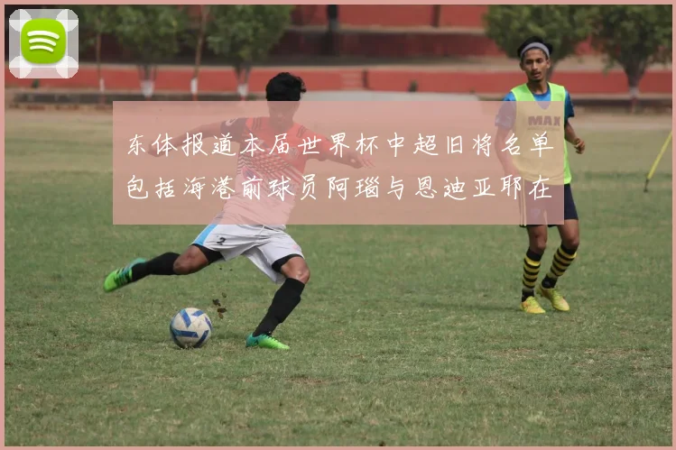 东体报道本届世界杯中超旧将名单包括海港前球员阿瑙与恩迪亚耶在内的10位球员