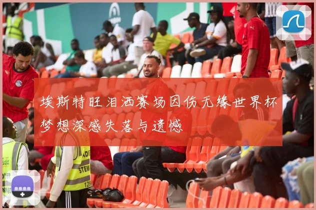 埃斯特旺泪洒赛场因伤无缘世界杯梦想深感失落与遗憾